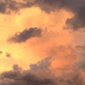 Meet your Posher, Diamond